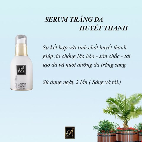 Set Combo Trị Nám Tàn Nhang – Đồi Mồi